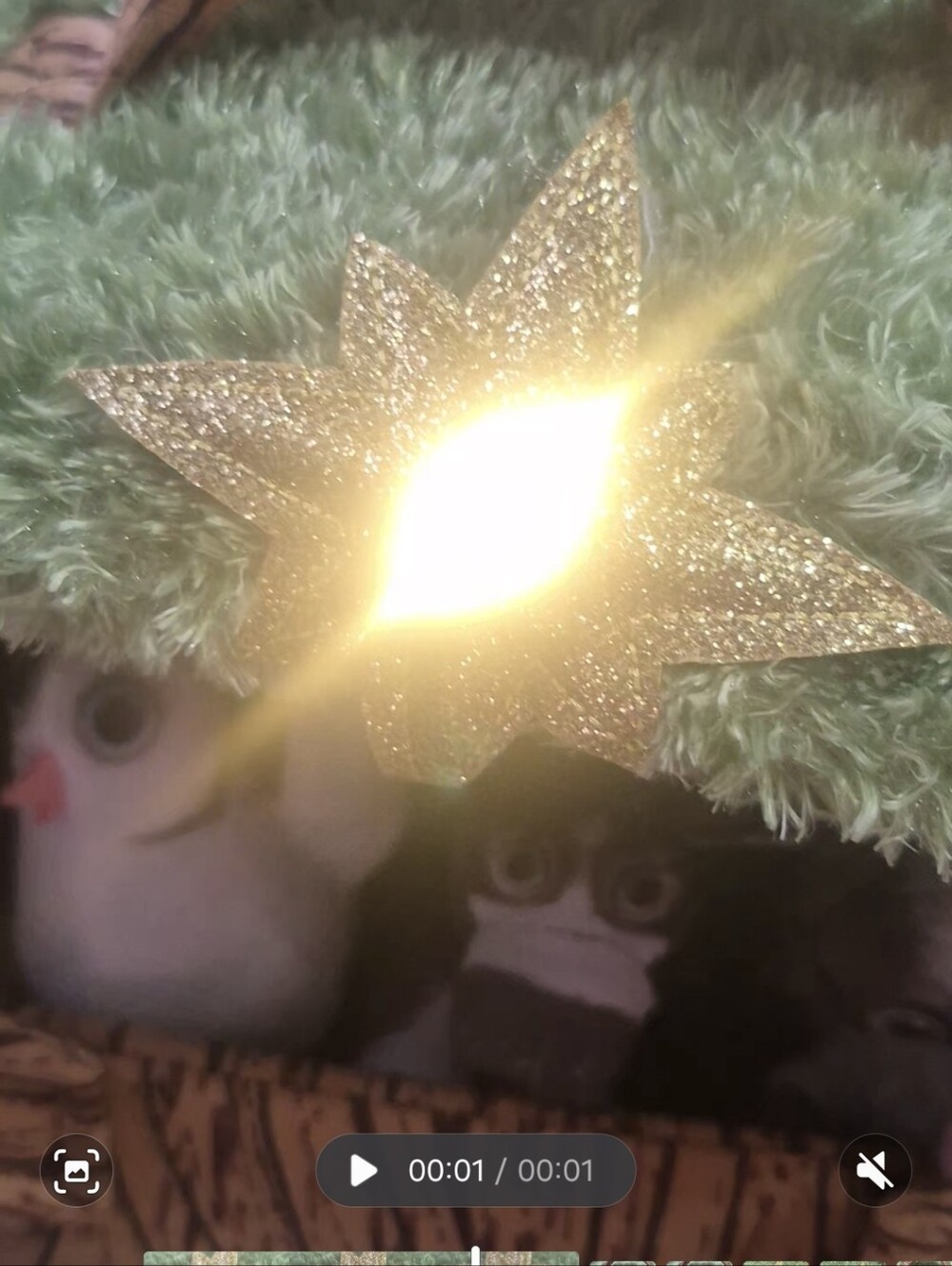 THE STAR STABLE - Picture 5 of 11